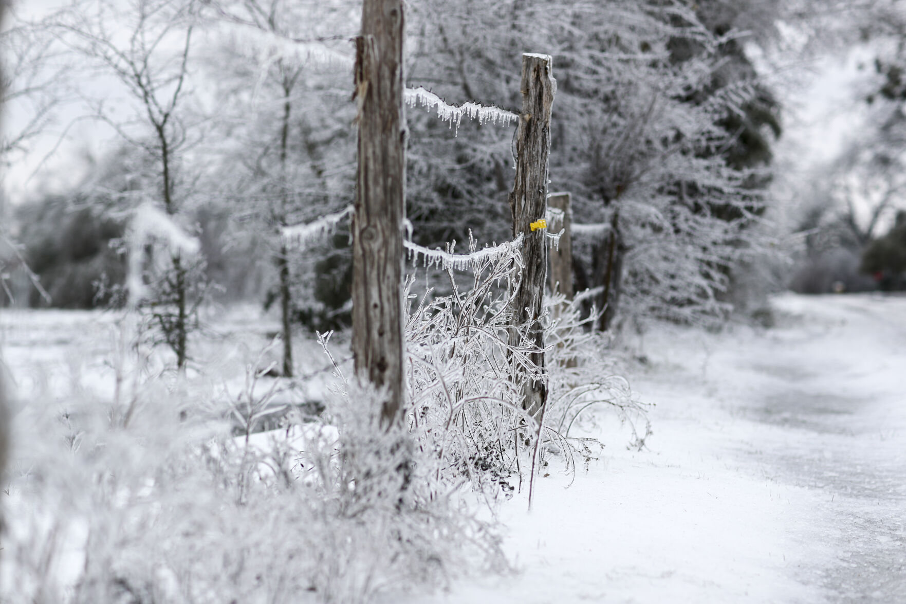 20210218 Winter Weather CS 17.jpg